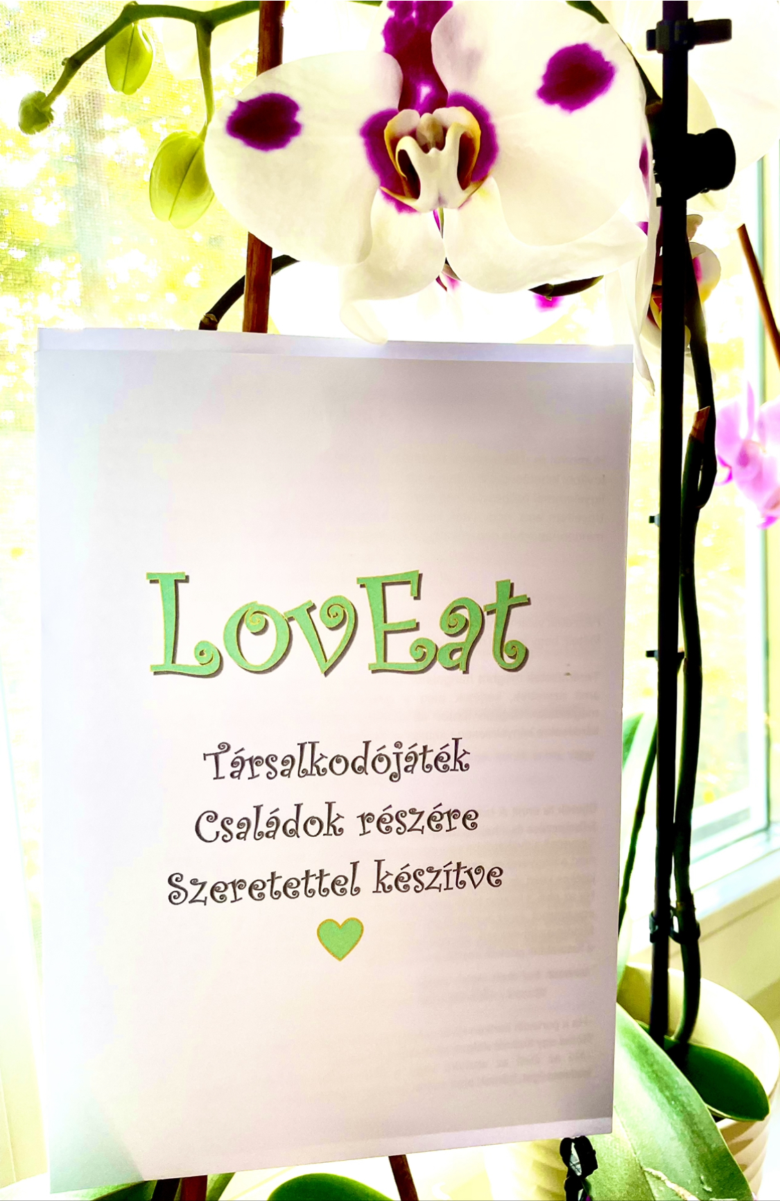 LovEat Társalkodójátékok